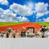 Baocicco 8x6.5ft Race Course Match Red Running Tracks Backdrop Photography Background Blue Sky White Clouds Green Grass Sports Game Sports Theme Sports Club Sport Field Vinyl Photo Studio Props view 4