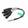 HangTon 10 pin Audio Cable for Atomos Shogun Inferno, Ninja Inferno 7", Shogun Flame, Shogun 7 Monitor to 3 pin XLR Mic Mixer view 2