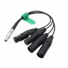 HangTon 10 pin Audio Cable for Atomos Shogun Inferno, Ninja Inferno 7", Shogun Flame, Shogun 7 Monitor to 3 pin XLR Mic Mixer view 3
