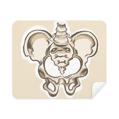 Human Skeleton Sketch Simple Phone Screen Cleaner Glasses Cleaning Cloth 2pcs Suede Fabric