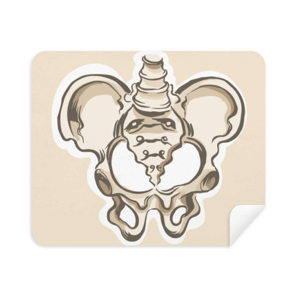 Human Skeleton Sketch Simple Phone Screen Cleaner Glasses Cleaning Cloth 2pcs Suede Fabric