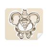 Human Skeleton Sketch Simple Phone Screen Cleaner Glasses Cleaning Cloth 2pcs Suede Fabric view 1