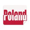 Poland Country Flag Name Phone Screen Cleaner Glasses Cleaning Cloth 2pcs Suede Fabric view 1