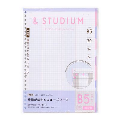 LOOSE-LEAF for self study GABL-03 MEMORY