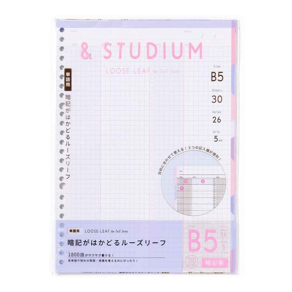 LOOSE-LEAF for self study GABL-03 MEMORY
