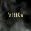PLESIU Willow (1988 DVD) Val Kilmer, Joanne Whalley, Warwick Davis view 4