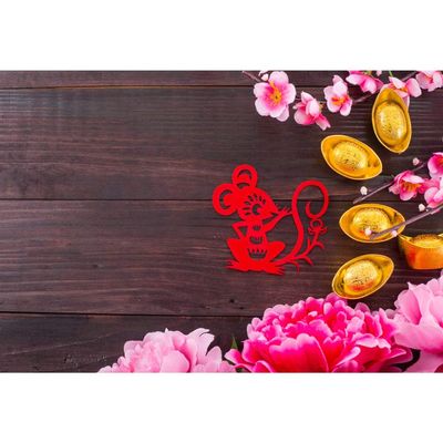 Leyiyi 15x10ft Chinese New Year Backdrops Chinese Red Paper-Cut Rat Gold Ingot Background for Photography Flower Wooden Floor Party Banner Photo Studio Props