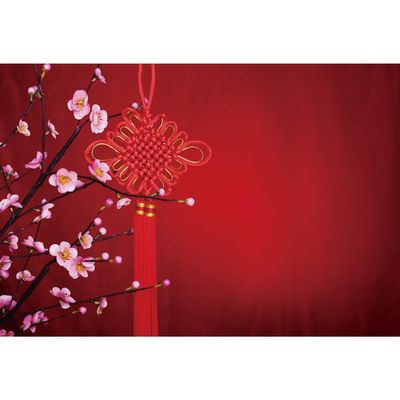 Leyiyi 10x8ft Chinese New Year Photography Backdrops Chinese Knot Peach Tree Peach Blossom Background Chinese Spring Festival Backdrop Banner Studio Props