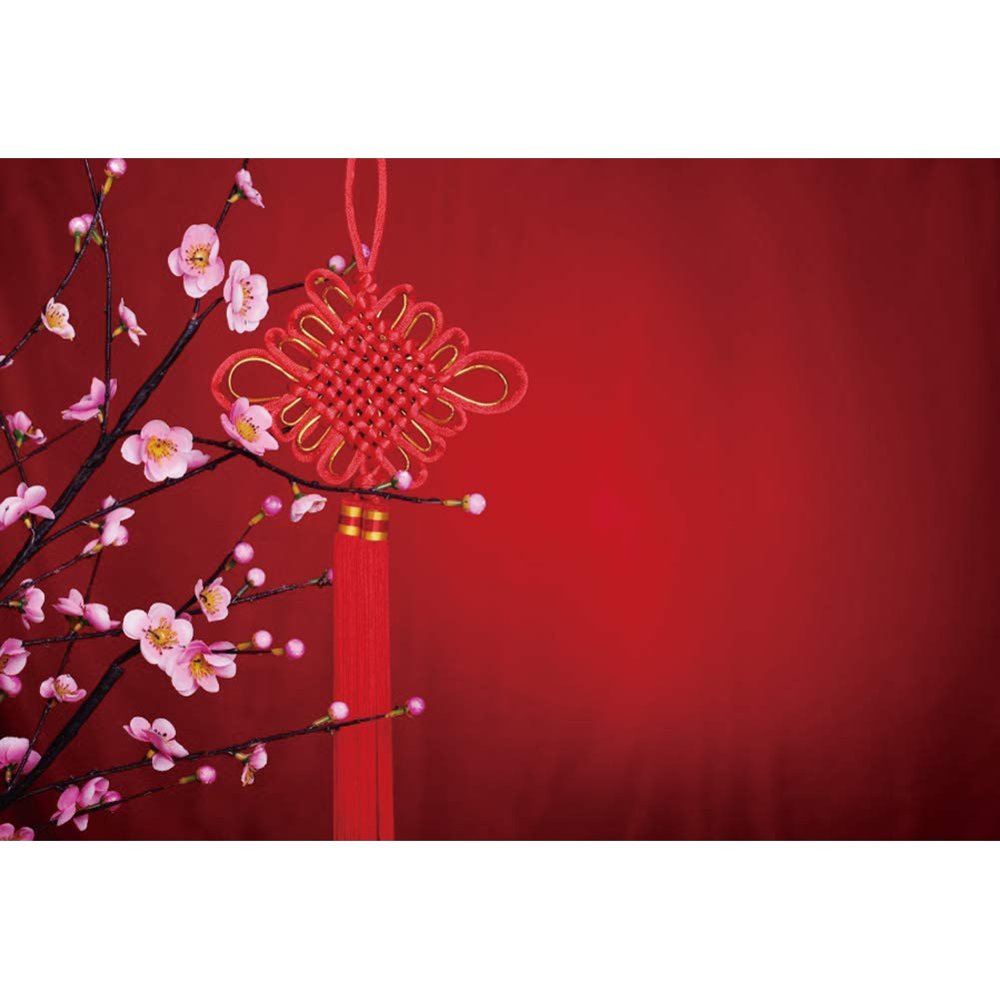 Leyiyi 10x8ft Chinese New Year Photography Backdrops Chinese Knot Peach Tree Peach Blossom Background Chinese Spring Festival Backdrop Banner Studio Props