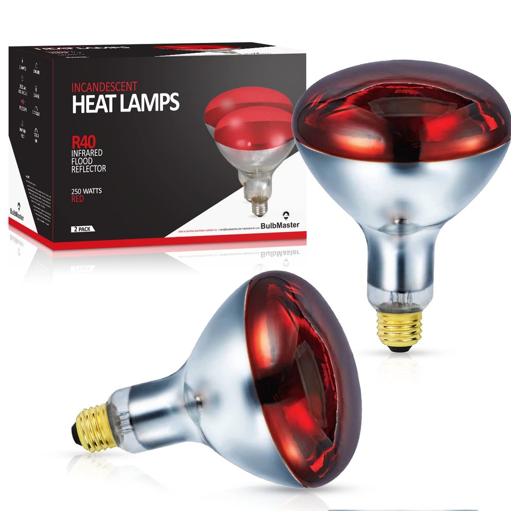 BULBMASTER 250 Watts R40 Red Heat Lamp Bulbs, 2 Pack