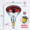 BULBMASTER 250 Watts R40 Red Heat Lamp Bulbs, 2 Pack view 4