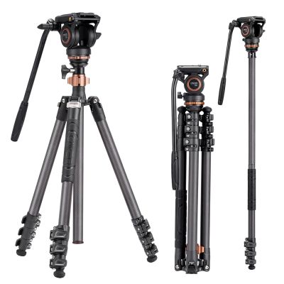 Cayer CF2451 Carbon Fiber Tripod Kit, 75 inches Video Tripod Leg with Fluid Head, 4-Section Tube Stand Convertible to Monopod for DSLR Camera, Video Camcorder, Max Load 13.2lb