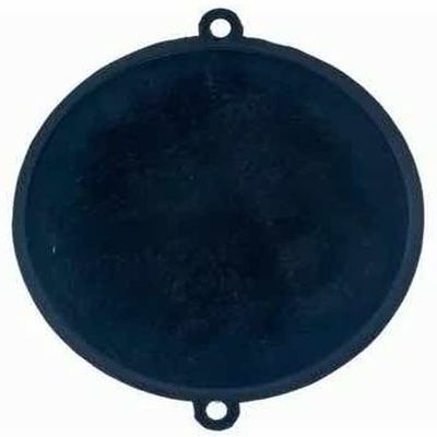 REPORSHOP - Heater Vaillant membrane Orbegozo 5L