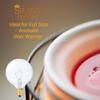 Simba Lighting Aromatic Wax Warmer Small Globe G16.5 25W E12 2700K, 6 Pack view 2