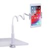 AHK Gooseneck Tablet Stand, Tablet Phone Mount Holder for iPad iPhone Series/Nintendo Switch/Samsung Galaxy Tabs/Amazon Kindle Fire HD and More, 46in Overall Length (Silver) view 1