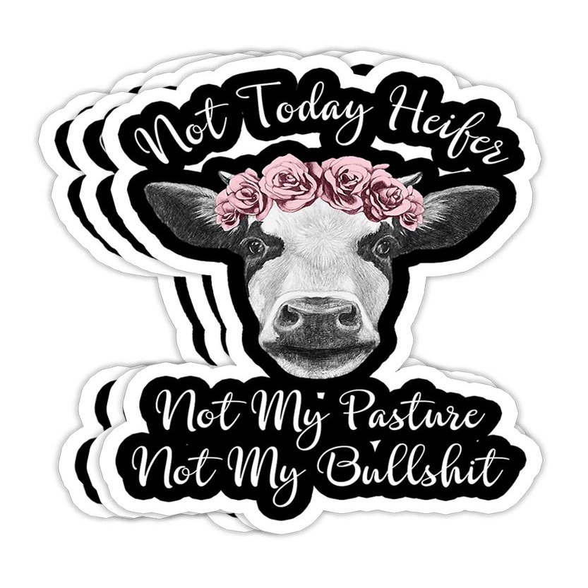 Chilli Purple Not Today Heifer Not My Pasture Not My Bullshit Gift Decorations - 4x3 Vinyl Stickers, Laptop Decal, Water Bottle Sticker (Set of 3)