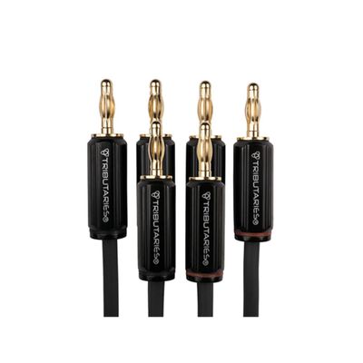 Tributaries Model 4BW Bi-Wire Speaker Cables - Banana - Hand Assembled in Orlando, Florida - 14AWG & 16AWG