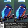 HD DVD Player, CD Players for Home, DVD Players for TV, HDMI and RCA Cable Included, Up-Convert to HD 1080p, All Region, Breakpoint Memory, Built-in PAL/NTSC, USB 2.0, Tojock view 2