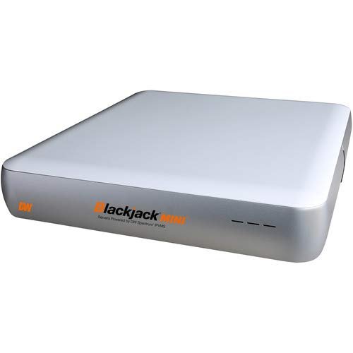 DIGITAL WATCHD0G DW-BJMINI8TR Blackjack MINI 12-Channel NVR RAID 1 Server with 8TB HDD pre Installed