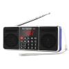 PRUNUS J-288 Portable Radio AM FM Radio with Bluetooth Speaker, Sleep Timer, Power-Saving Display, Ultra-Long Antenna, AUX Input & USB Disk & TF Card MP3 Player, NO Manual Preset view 1