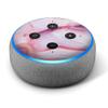 Pink Stone Marble Geode - Vinyl Decal Skin Compatible with Amazon Echo Dot 3rd Generation Alexa - Decorations for Your Smart Home Speakers, Great Accessories Gift for mom, dad, Birthday, Kids view 1