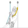 PETZL, Asap'Sorber Int Lanyard 40 Cm, Energy absorber for ASAP or ASAP LOCK view 2
