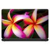 13 inch Universal Laptop Notebook Skin Vinyl Sticker Cover Decal Fits 13 Inch Major Brand laptops - Plumeria view 2