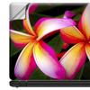 13 inch Universal Laptop Notebook Skin Vinyl Sticker Cover Decal Fits 13 Inch Major Brand laptops - Plumeria view 3