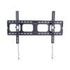 Apollo Enclosures Slim TV Wall Mount Bracket for 3986 Inch Screens - Weatherproof Outdoor TV Mount with Fixed Non-Articulating Design - Stainless Steel Bracket for Indoor or Outdoor Installation view 1