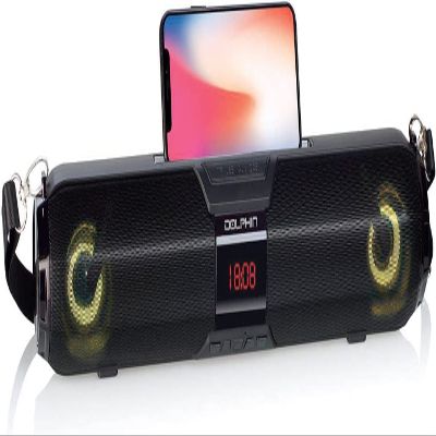 Dolphin Soundbar Bluetooth Speaker | Enhance Sound for Small TV, Computer, RV TV, Kitchen, Garage, Portable Rechargeable with Time