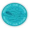 Protect Our Oceans - 3" Vinyl Sticker - for Car Laptop I-Pad Phone Helmet Hard Hat - Waterproof Decal view 1