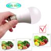 Honle E26 E27 LED 12-24V AC/DC Low Voltage 7W Daylight White 6000k Standard Edison Base 60W Halogen Bulb Equivalent for Rv Off Grid Solar Panel Project Lighting Boat Garden Landscape Pack of 2 view 4