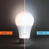 Feit Electric A21 LED Light Bulb, 150W Equivalent, Dimmable, 2605 Lumens, E26 Standard Base, 5000K Daylight, 80 CRI, High Output LED Light Bulb, Damp Rated, 25,000-Hour Lifetime, OM150DM/850/LED view 4