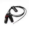 Alvin's Cables Dual XLR 3 Pin Female to 5 Pin Male Audio Input Cable for Arri Alexa Mini view 3