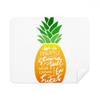 Pineapple Stand Tall Be Sweet Quote Phone Screen Cleaner Glasses Cleaning Cloth 2pcs Suede Fabric view 1