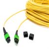 Ultra Spec Cables 12 Fiber Trunk Cable, MTP Female to MTP Female, Singlemode, Type A, OFNR - 6 Meter view 2