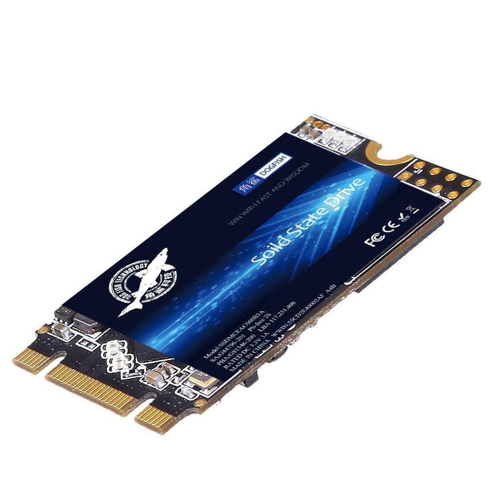 Dogfish M.2 2242 2TB SSD: High Performance Internal Solid State Drive for Desktop & Laptop - SATA III 6Gb/s