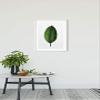 Komar Wall Picture Ficus Leaf | Poster, Picture, Living Room, Bedroom, Decoration, Art Print | Without Frame | P058-50x70 | Size: 50 x 70 cm (Width x Height) view 2