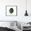 Komar Wall Picture Ficus Leaf | Poster, Picture, Living Room, Bedroom, Decoration, Art Print | Without Frame | P058-50x70 | Size: 50 x 70 cm (Width x Height) view 3