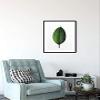 Komar Wall Picture Ficus Leaf | Poster, Picture, Living Room, Bedroom, Decoration, Art Print | Without Frame | P058-50x70 | Size: 50 x 70 cm (Width x Height) view 4