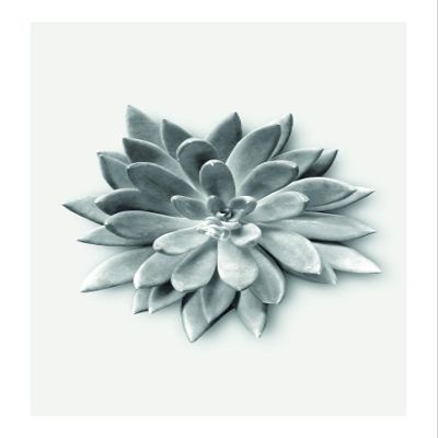 Komar Wall Picture Succulent Agave Poster Picture Living Room Bedroom Decoration Art Print Without Frame P049A-50x70 Size 50 x 70 cm (Width x Height)