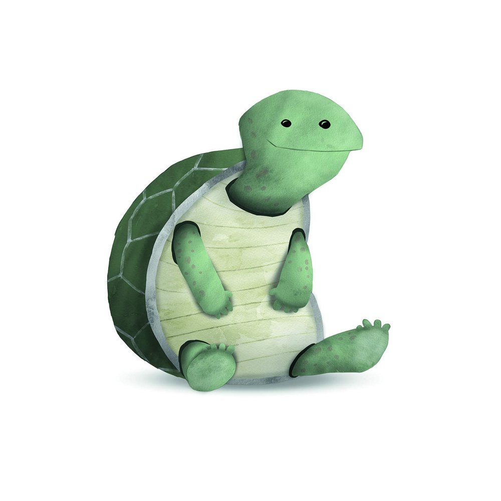 Komar Wall Picture Cute Animal Turtle Poster Picture Living Room Bedroom Decoration Art Print Without Frame P111B-40x50 Size 40 x 50 cm (Width x Height)