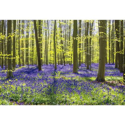 DORCEV 5x3ft Spring Forest Natural Landscape Backdrop Sunlight Blueblls Flowers Green Tree Forest Photography Backdrop Springtime Outdoor Camping Wedding Holiday Trip Adults Kids Photo Studio Props