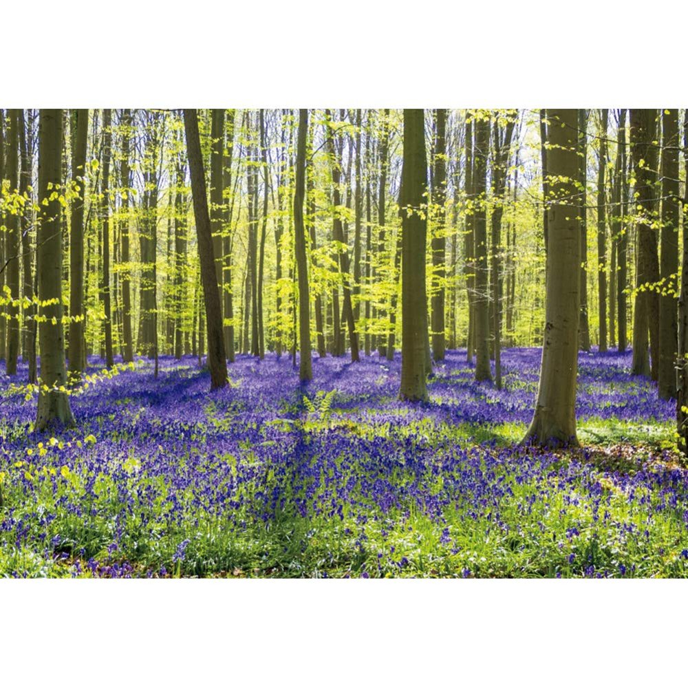 DORCEV 5x3ft Spring Forest Natural Landscape Backdrop Sunlight Blueblls Flowers Green Tree Forest Photography Backdrop Springtime Outdoor Camping Wedding Holiday Trip Adults Kids Photo Studio Props