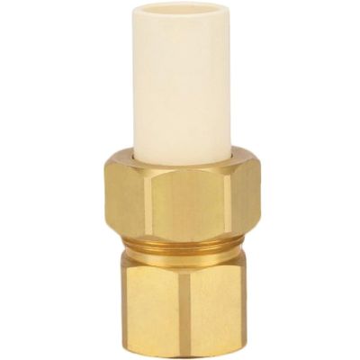 Homewerks Worldwide CPVC Trans Union 3/4" F