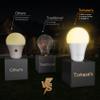 Torkase Outdoor Sensor Light Bulbs, E26 Dusk to Dawn Activated Security view 3