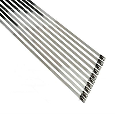 3/16" Stainless Steel Self-Locking Ball Lock Cable Ties (10, 52 Inch)