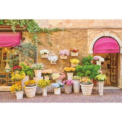 Leyiyi 15x10ft Italy Scene Backdrop Colorful Flowerpots in Front of Old House Green Leaves Brick Wall Background Florist Photo Portrait Vinyl Studio Video Props