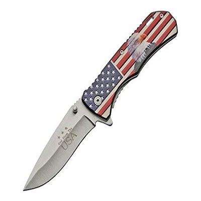 China Made CN300464EG Eagle Linerlock Assisted Opening, Multicolor