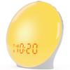 Wake Up Light Sunrise Alarm Clock for Kids, Heavy Sleepers, Bedroom, with Sunrise Simulation, Sleep Aid, Dual Alarms, FM Radio, Snooze, Nightlight, Daylight, 7 Colors, 7 Natural Sounds, Ideal for Gift view 1
